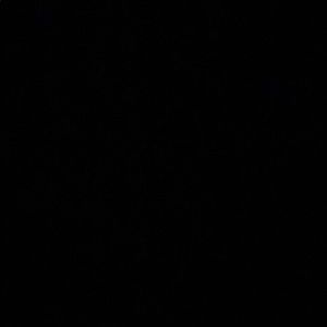 Meet your Posher, Lili